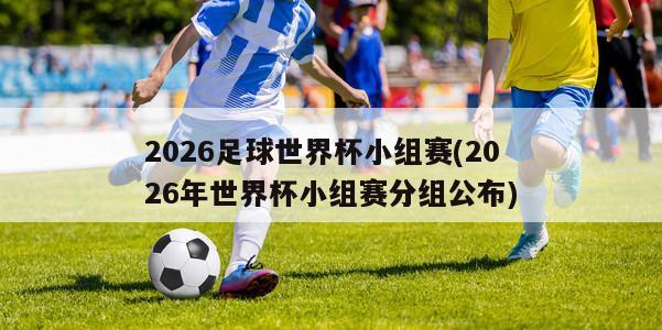 2026足球世界杯小组赛(2026年世界杯小组赛分组公布)